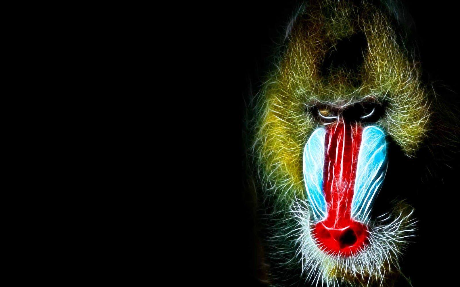 Mandrill Wallpapers