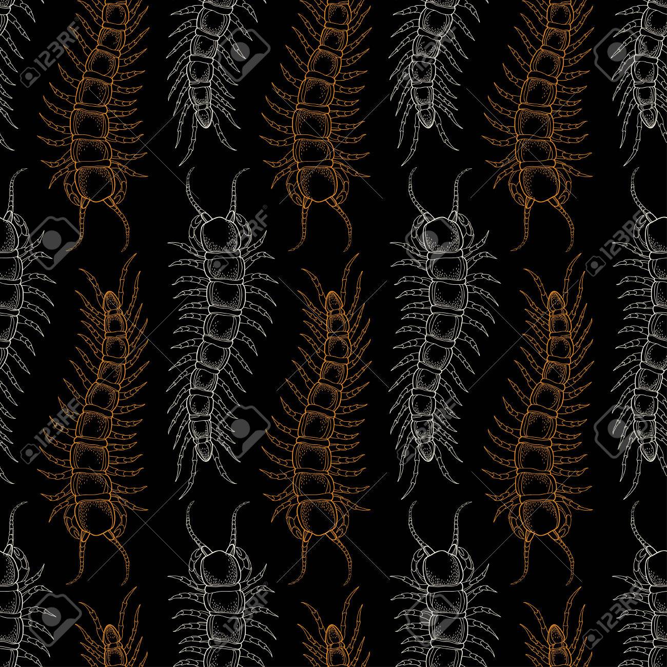 Millipede Wallpapers