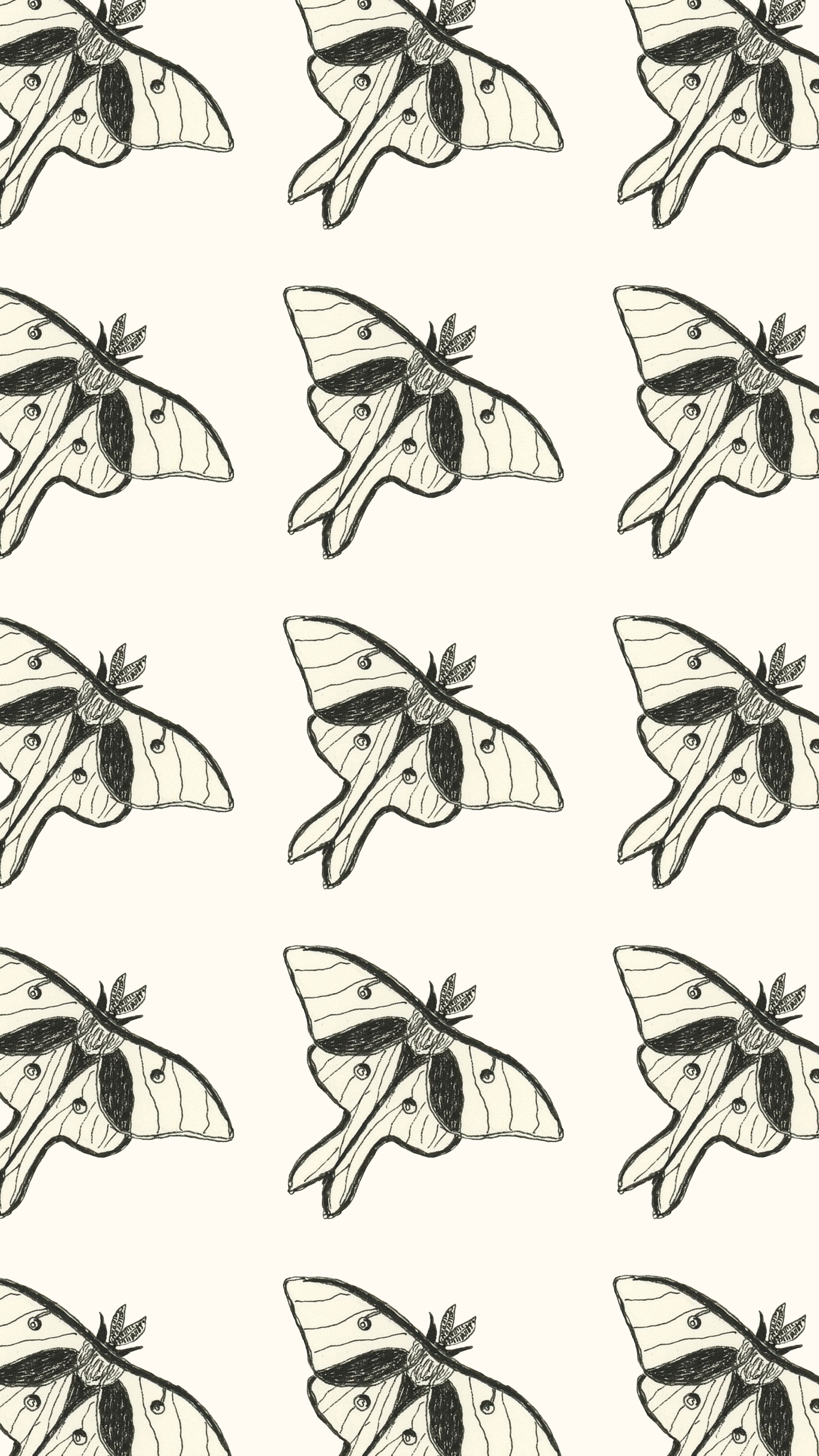 Moth Wallpapers