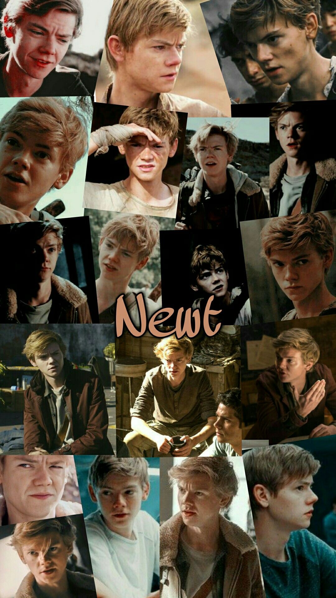 Newt Wallpapers