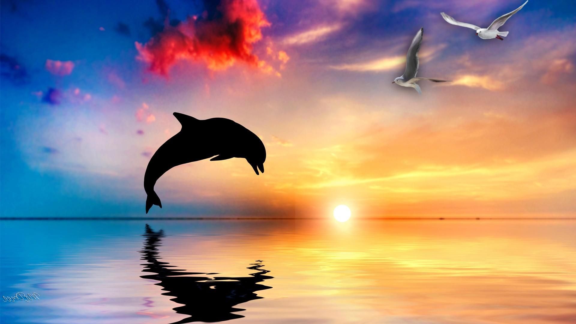 Oceanic Dolphins Wallpapers