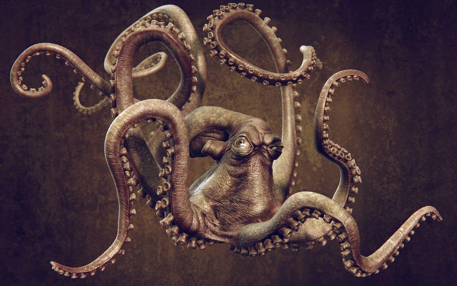 Octopus Wallpapers