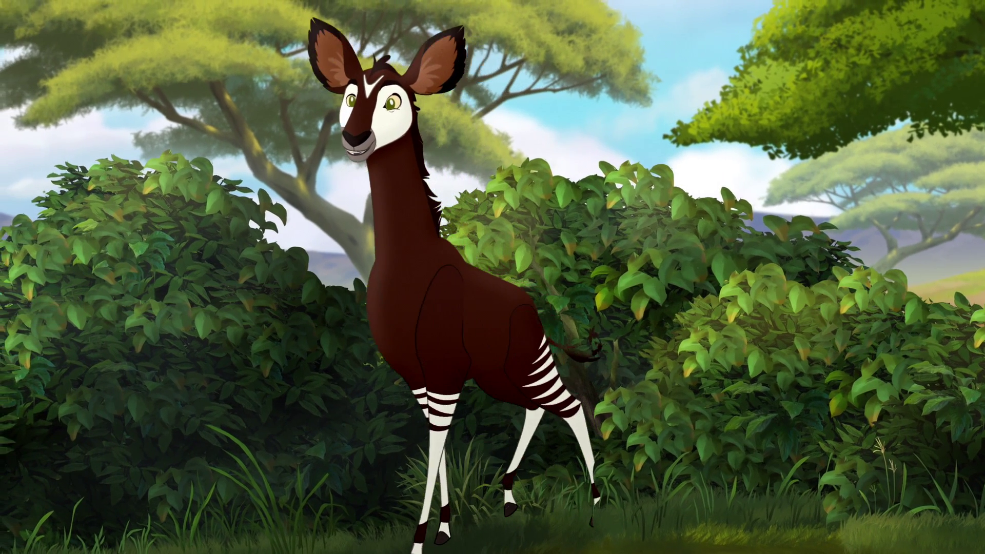 Okapis Wallpapers