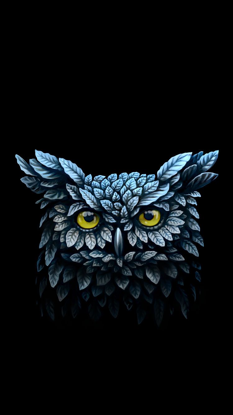 Owl Wallpapers