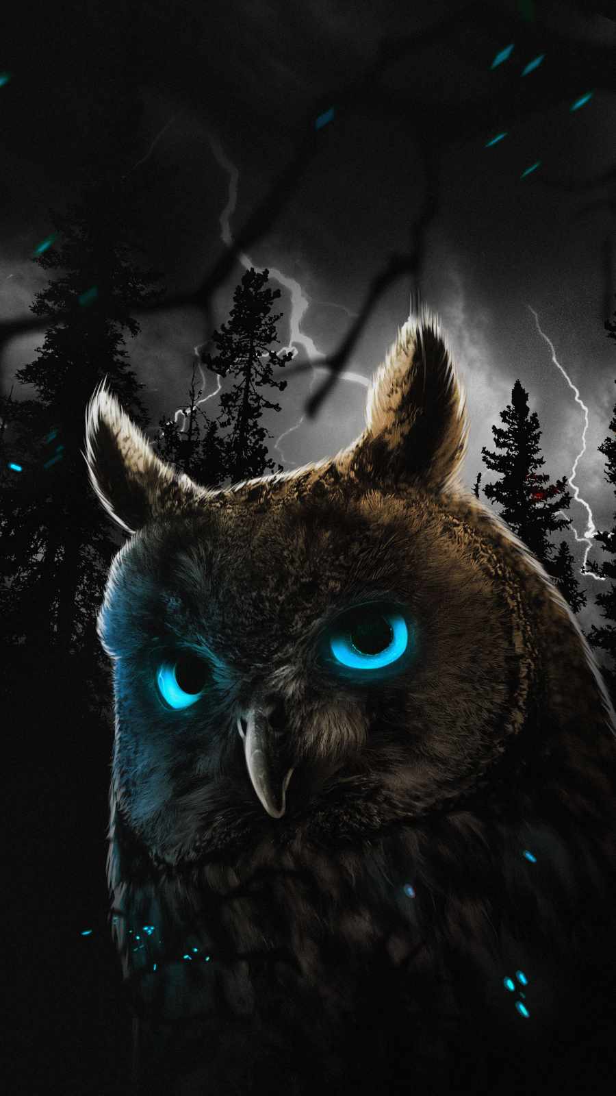 Owl Wallpapers