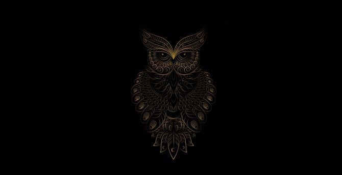 Owl Wallpapers