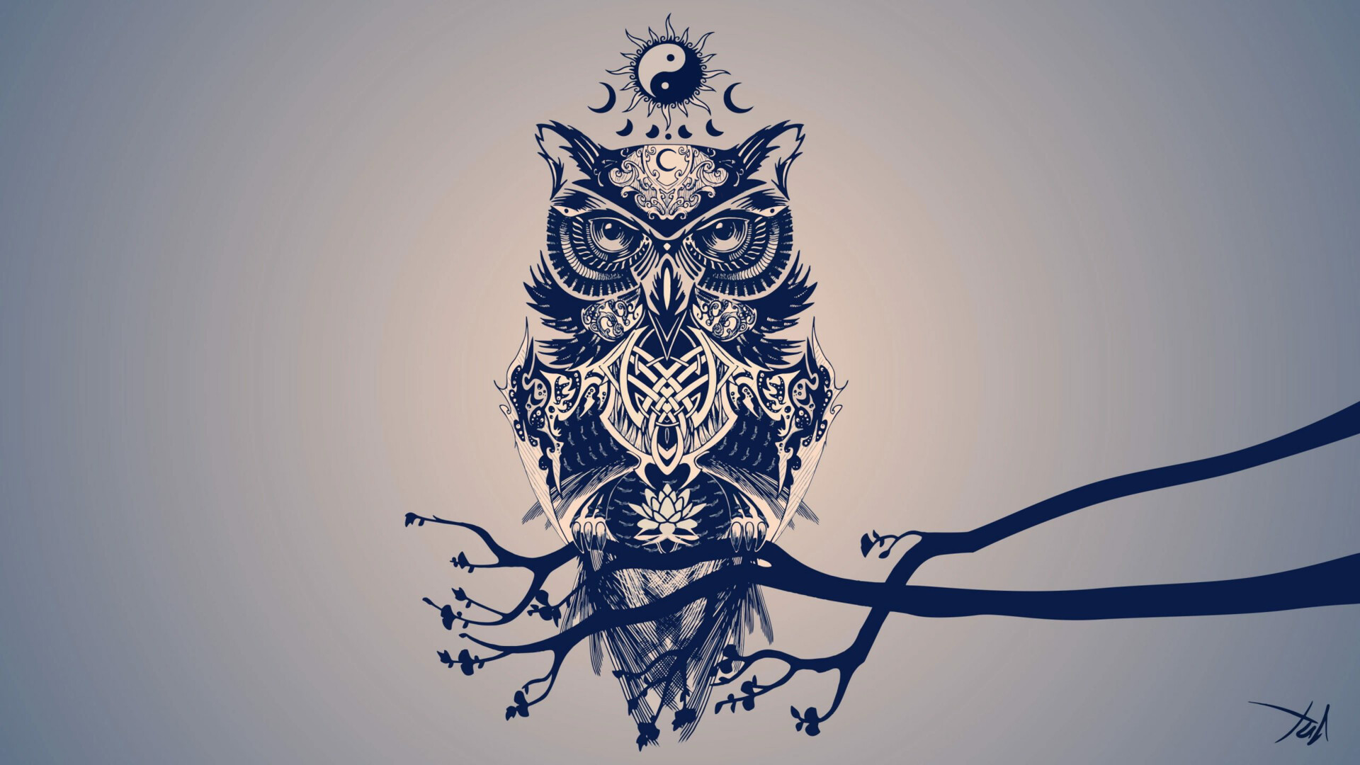 Owl Wallpapers