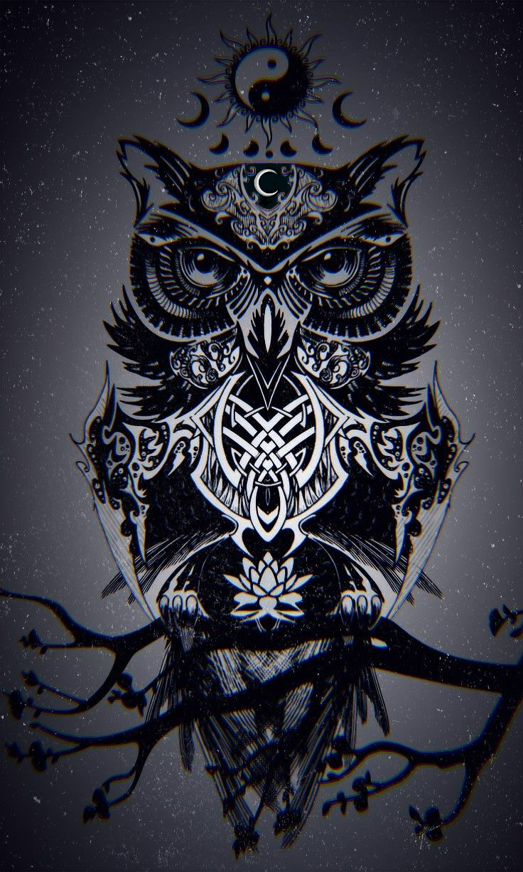 Owl Wallpapers