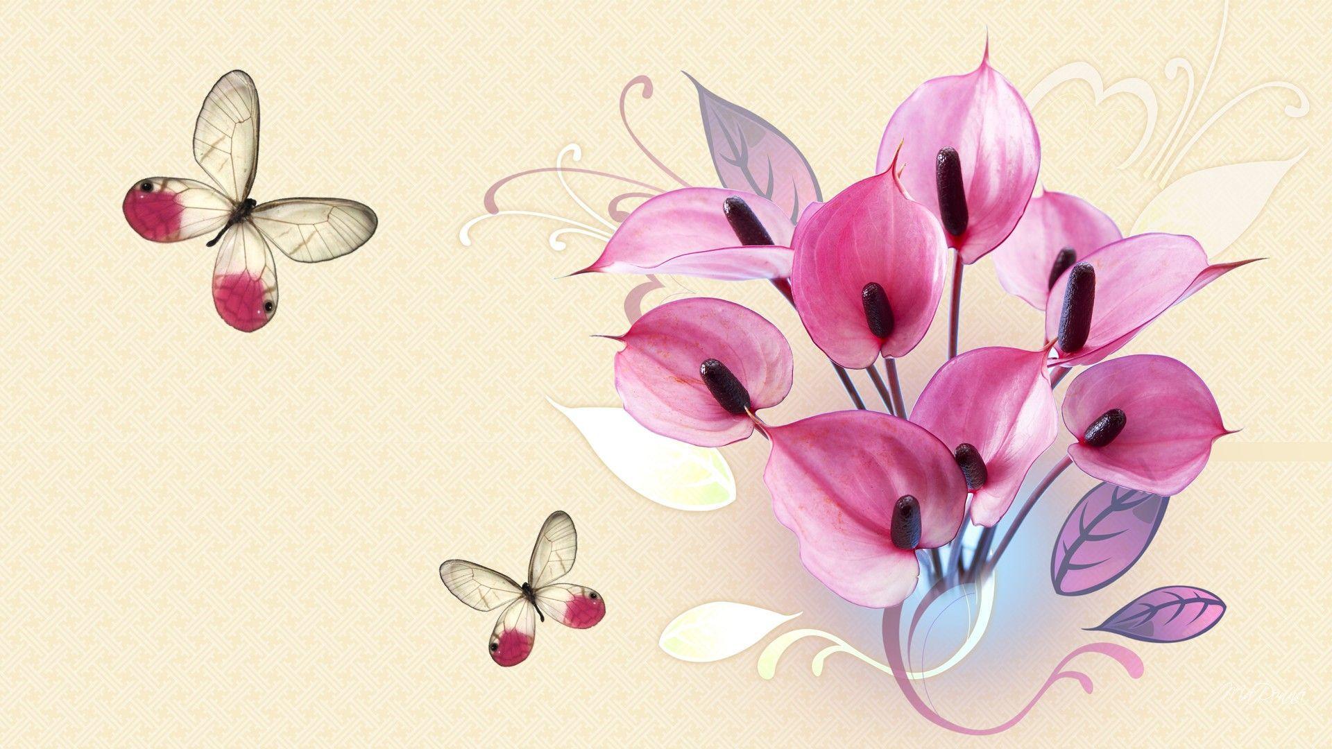 Papillon Wallpapers