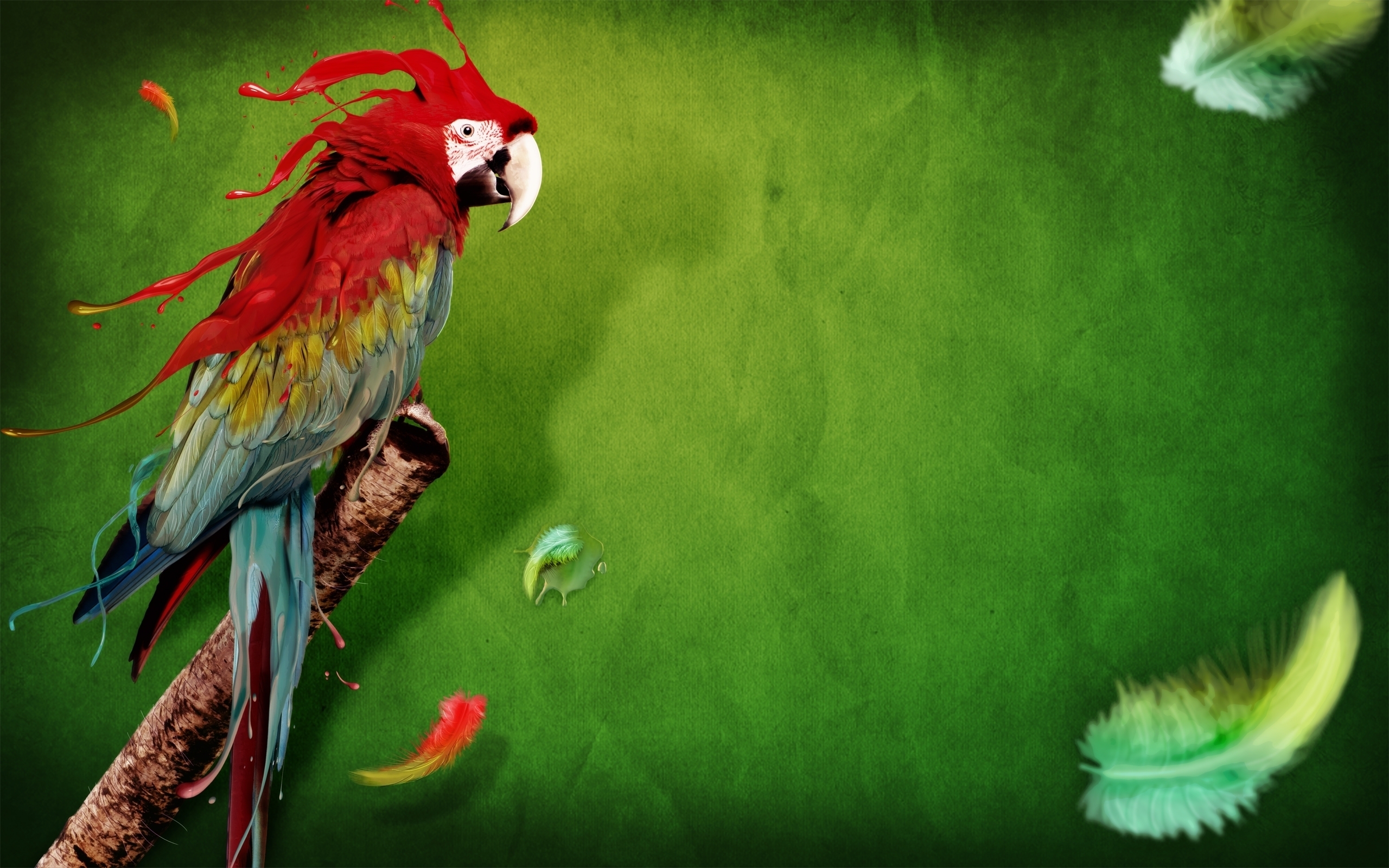 Parrot Wallpapers