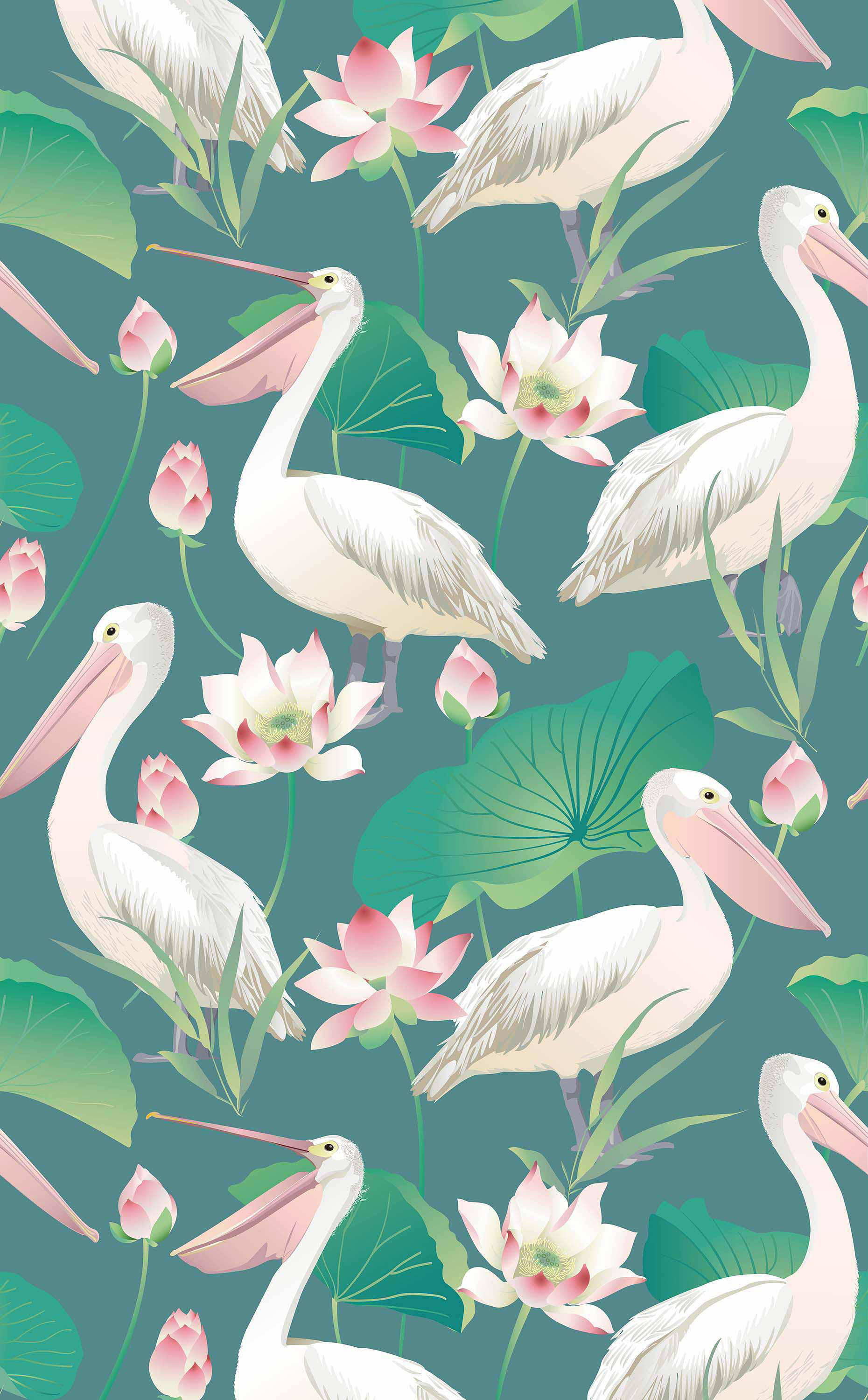 Pelican Wallpapers