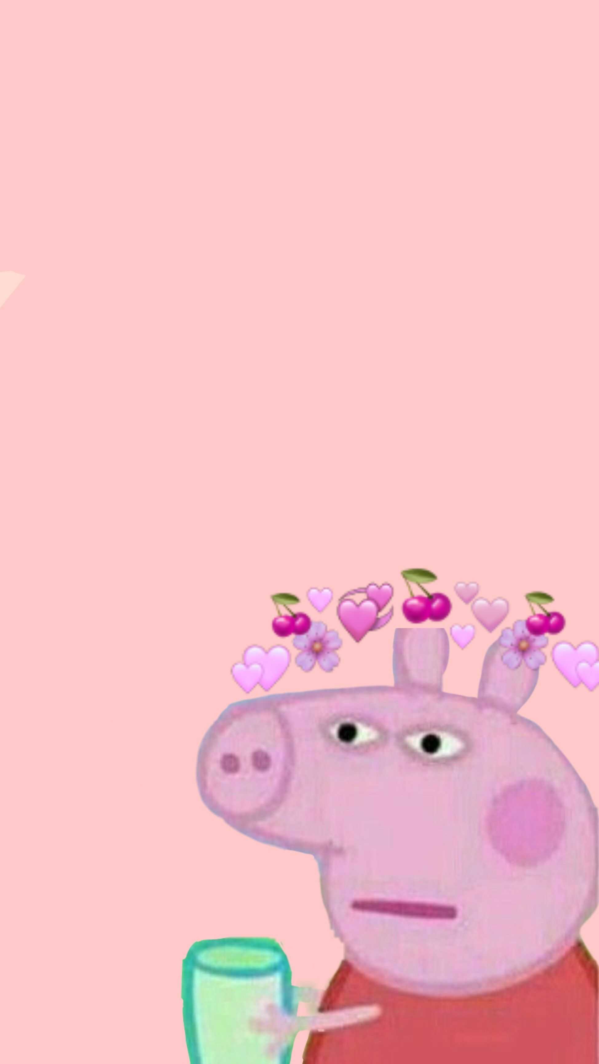 Pig Wallpapers