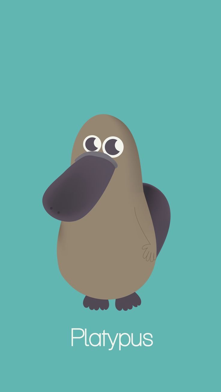 Platypus Wallpapers