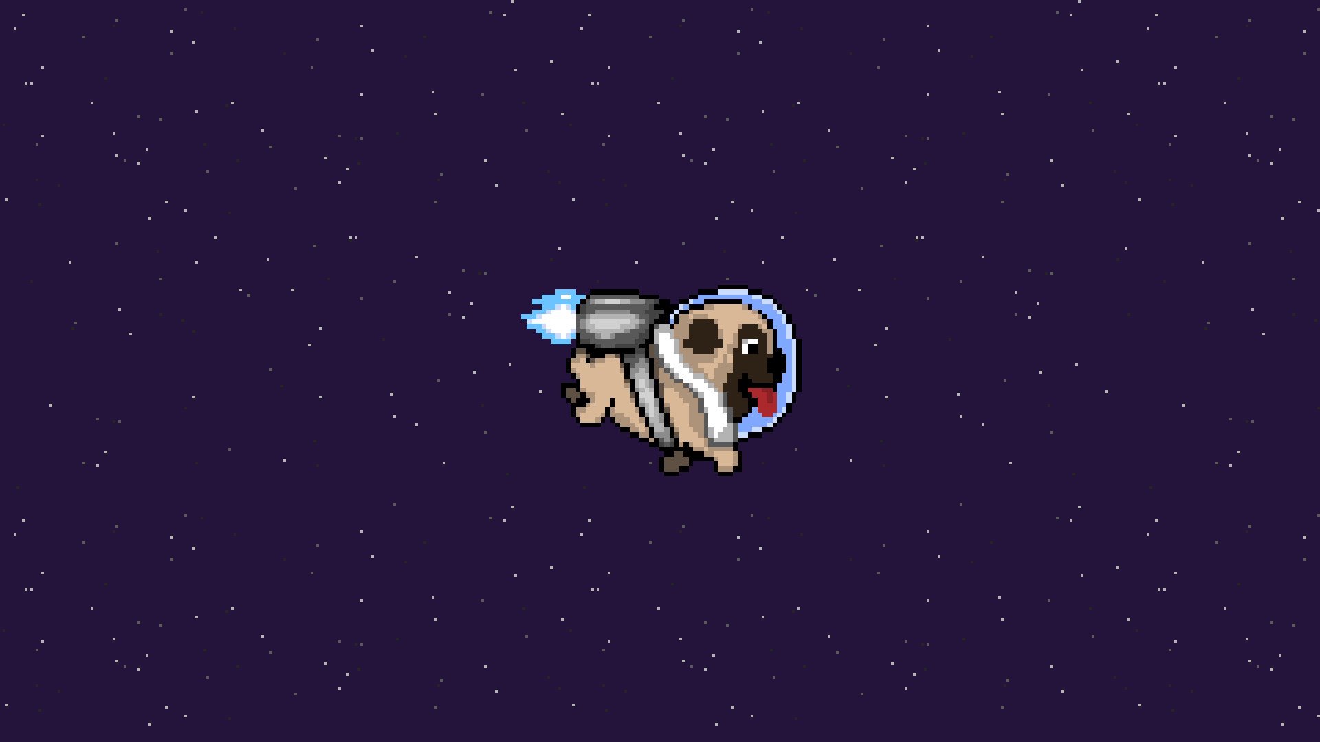 Pug Wallpapers