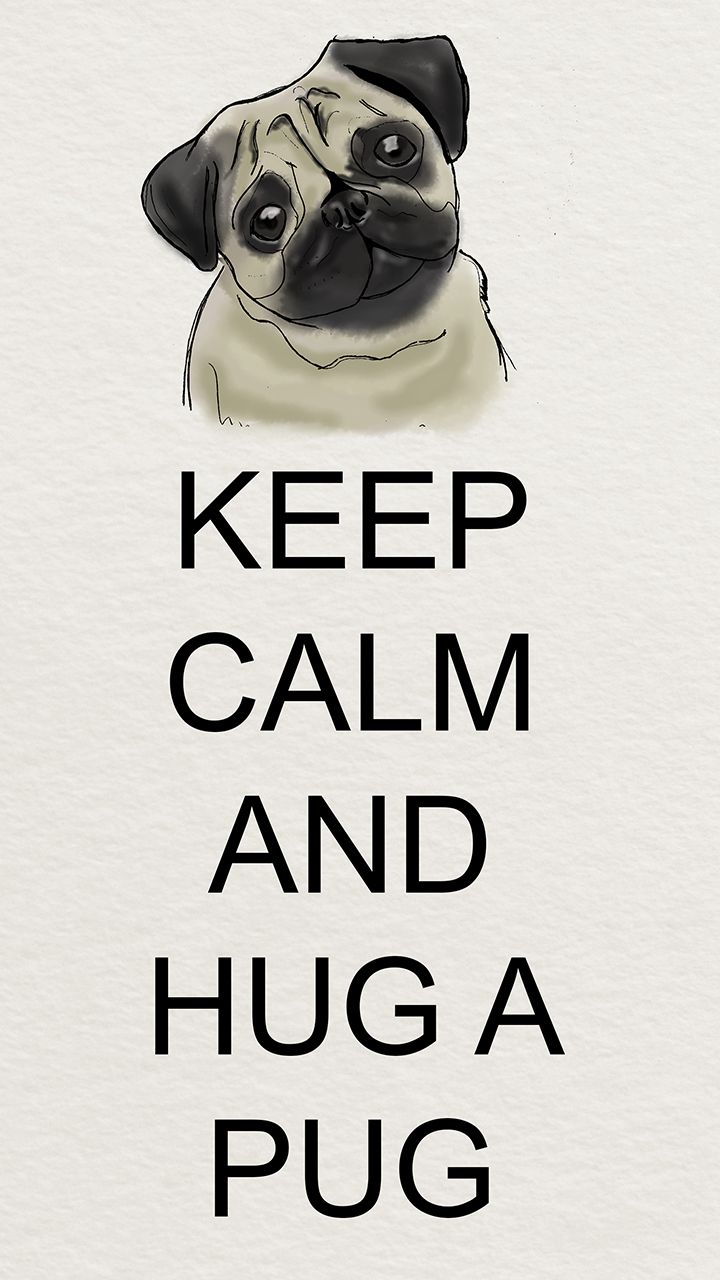 Pug Wallpapers