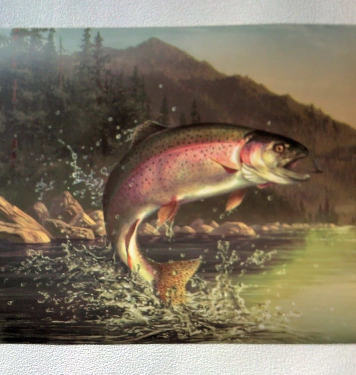 Rainbow Trout Wallpapers