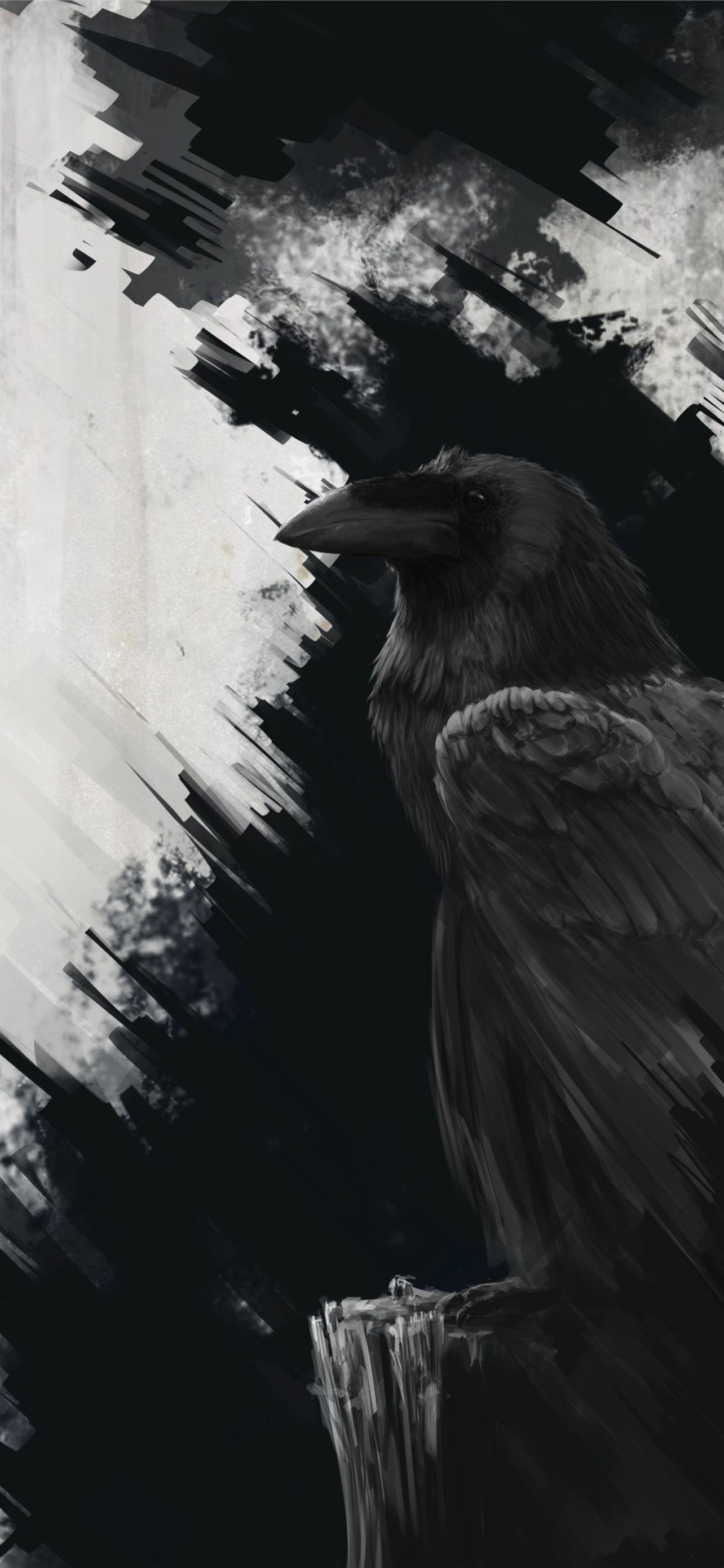 Raven Wallpapers