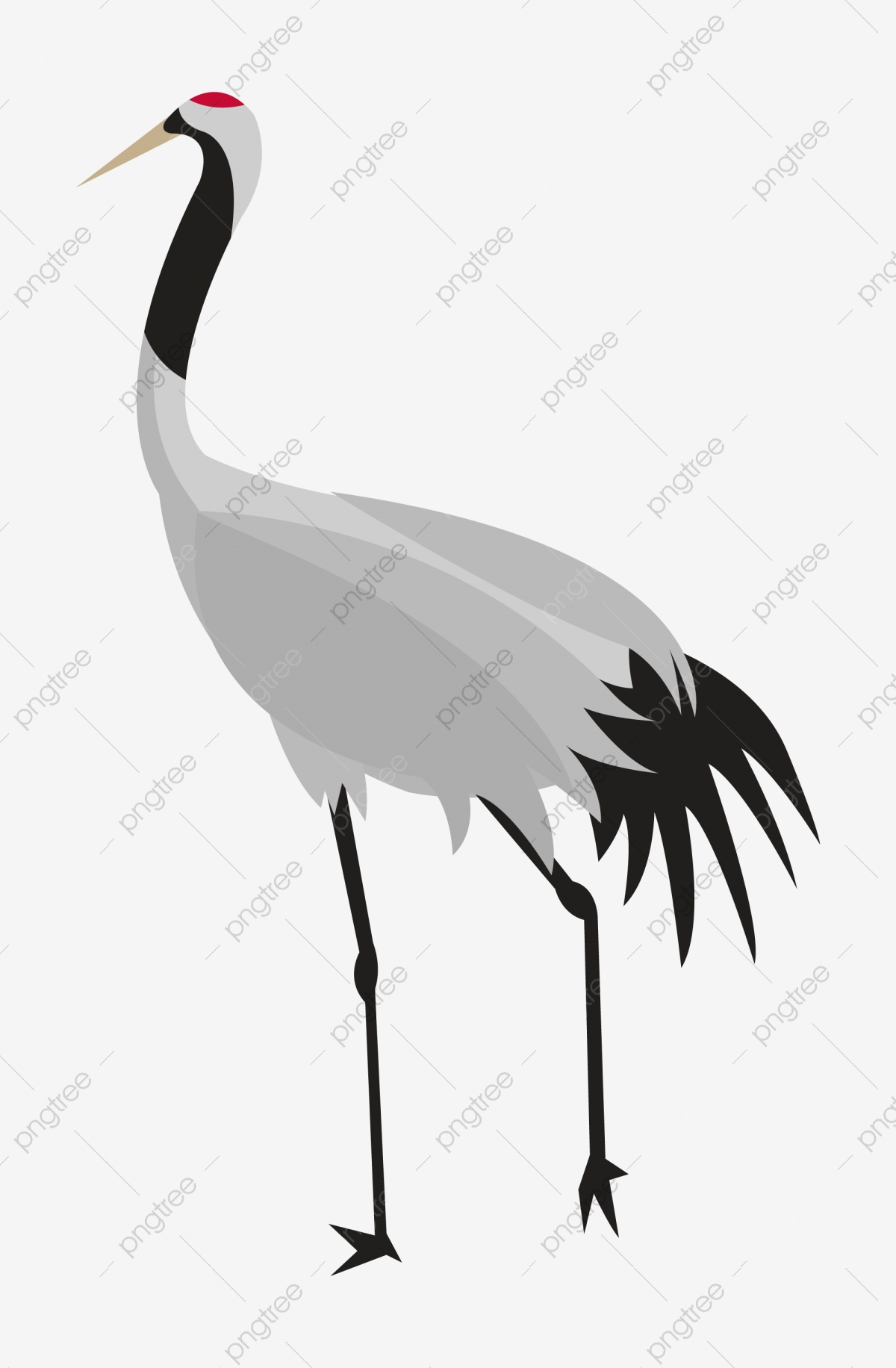 Red-Crowned Crane Wallpapers