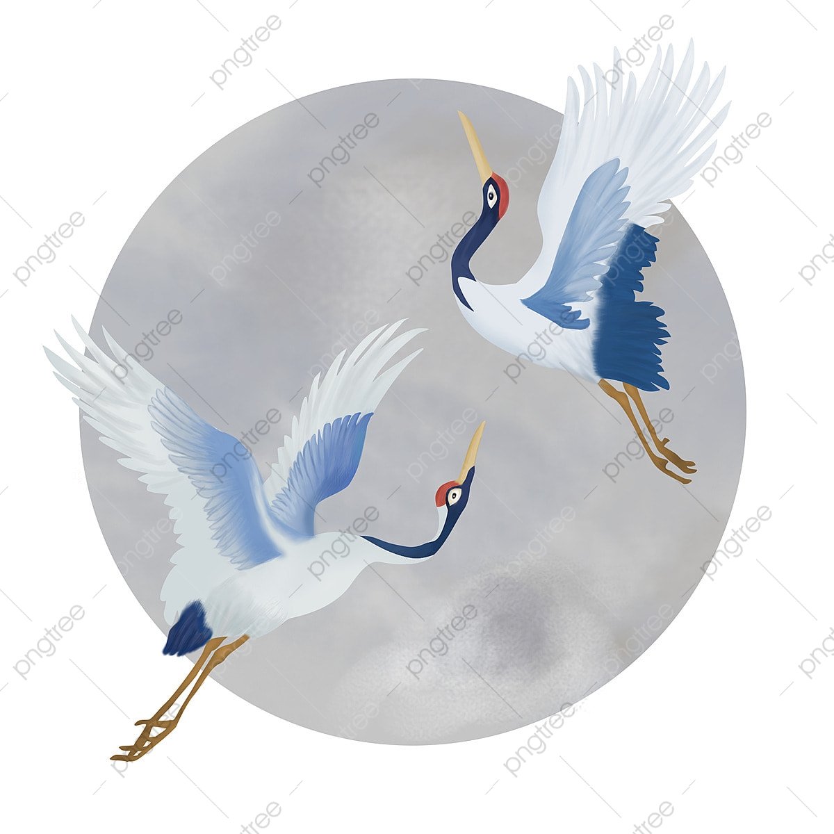 Red-Crowned Crane Wallpapers