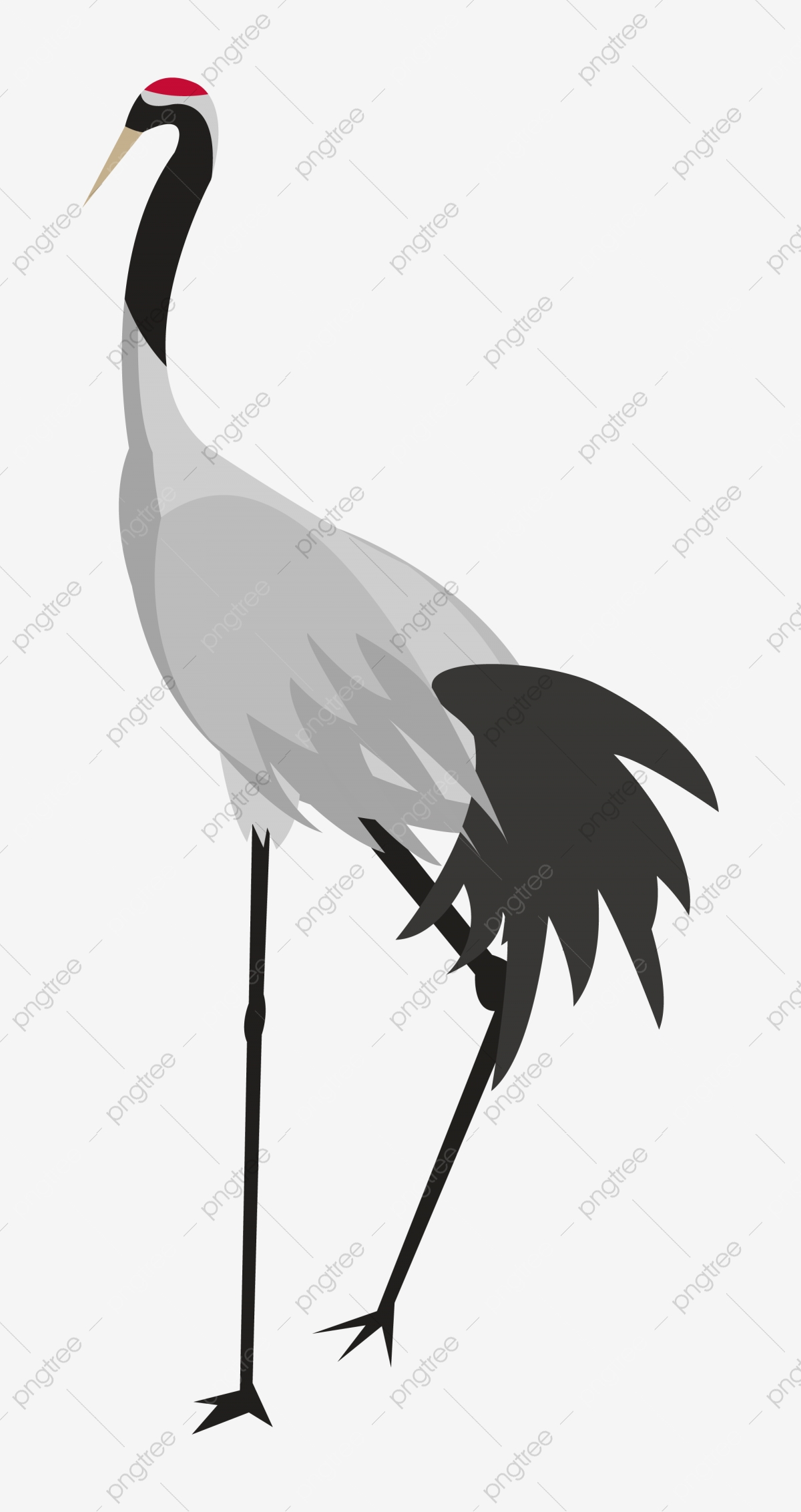 Red-Crowned Crane Wallpapers