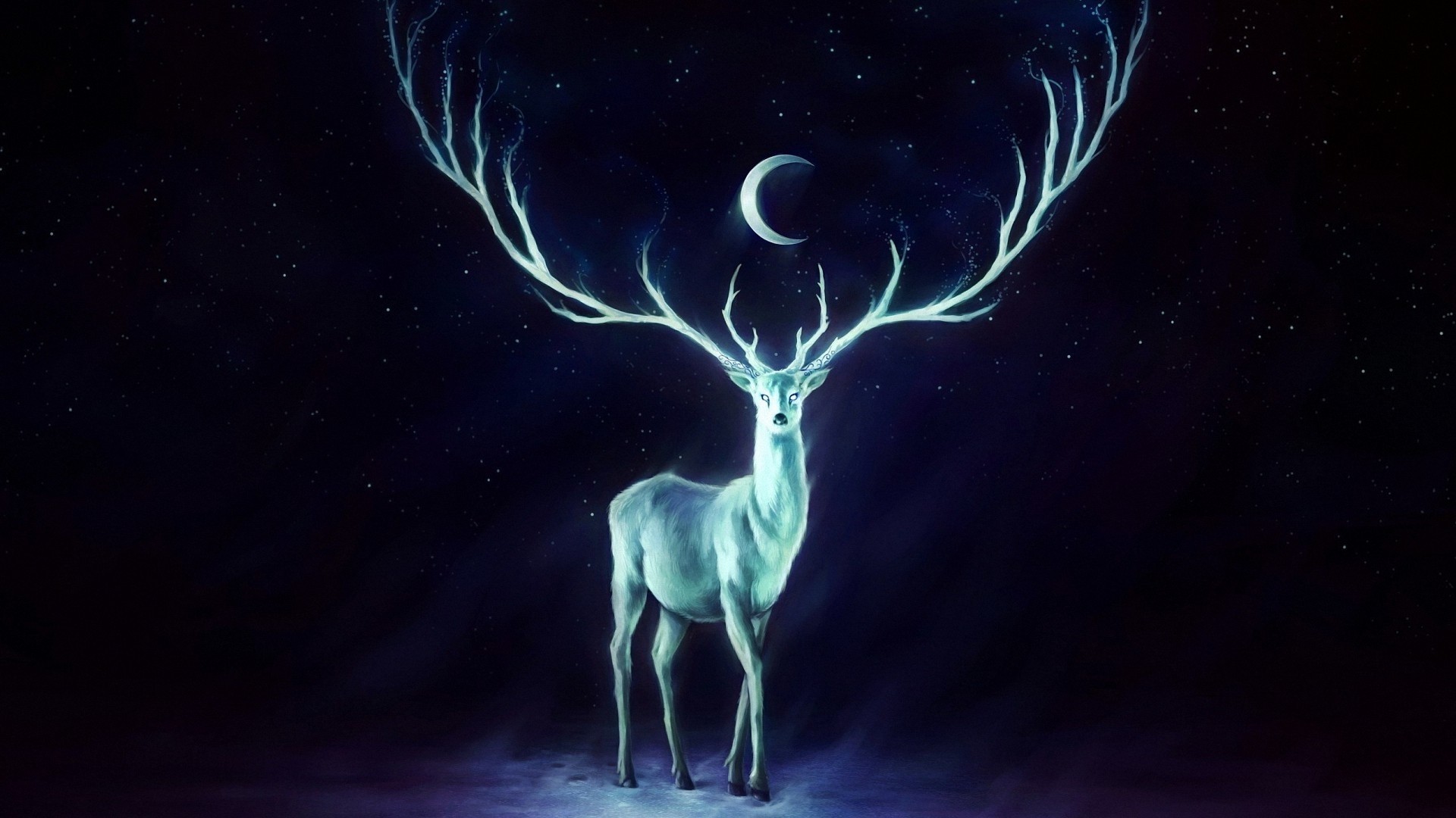 Reindeer Wallpapers