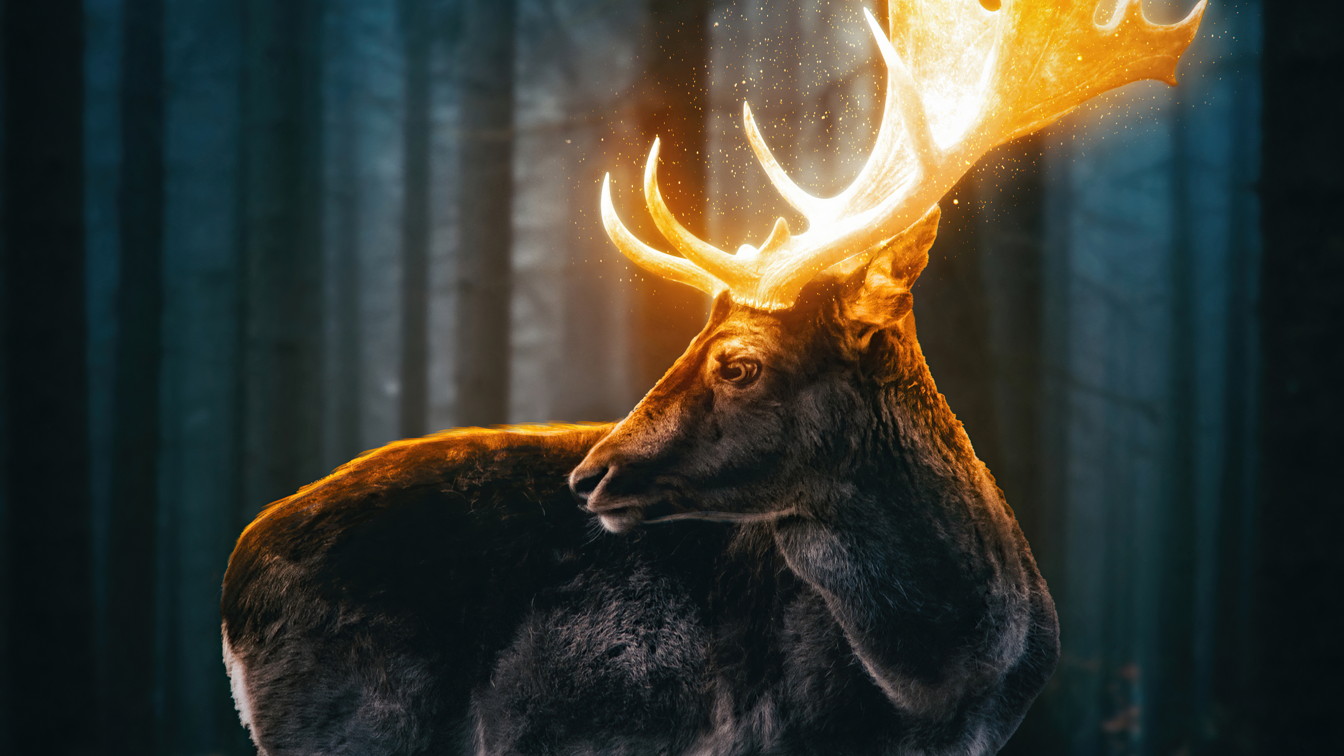 Reindeer Wallpapers