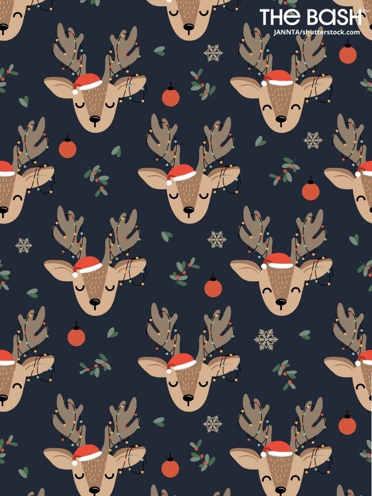 Reindeer Wallpapers