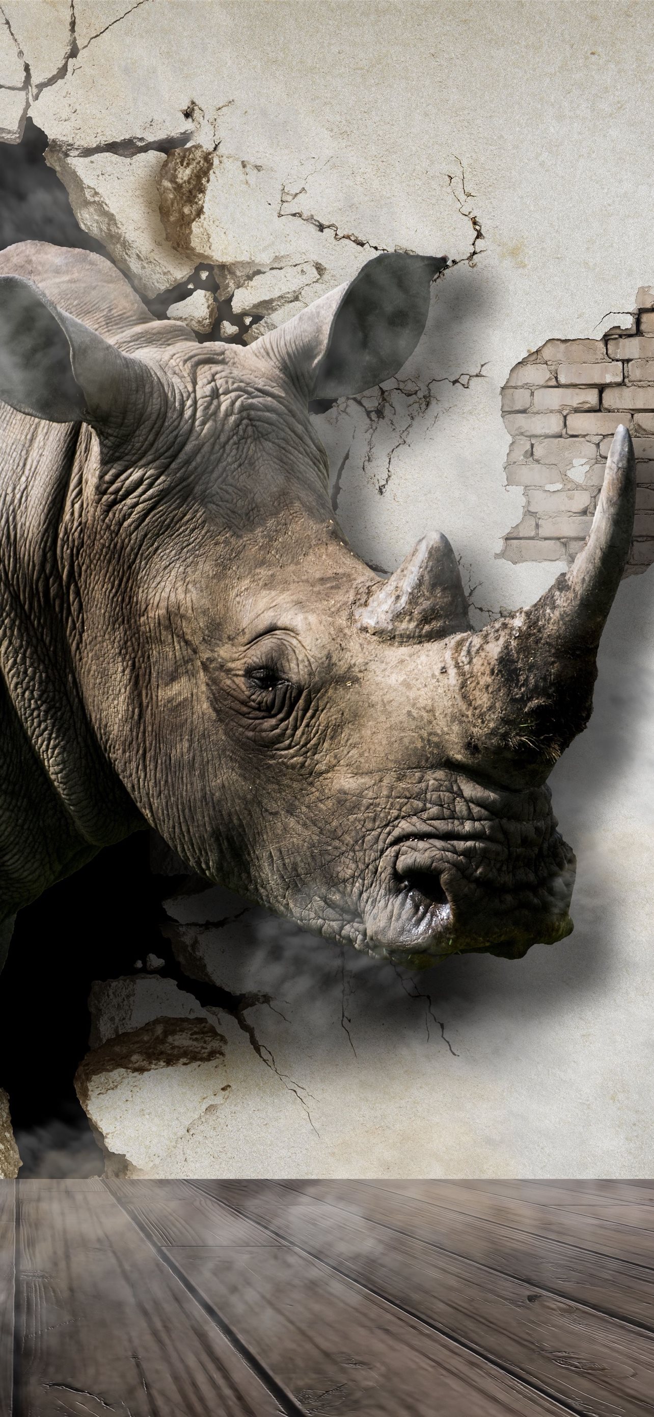 Rhino Wallpapers