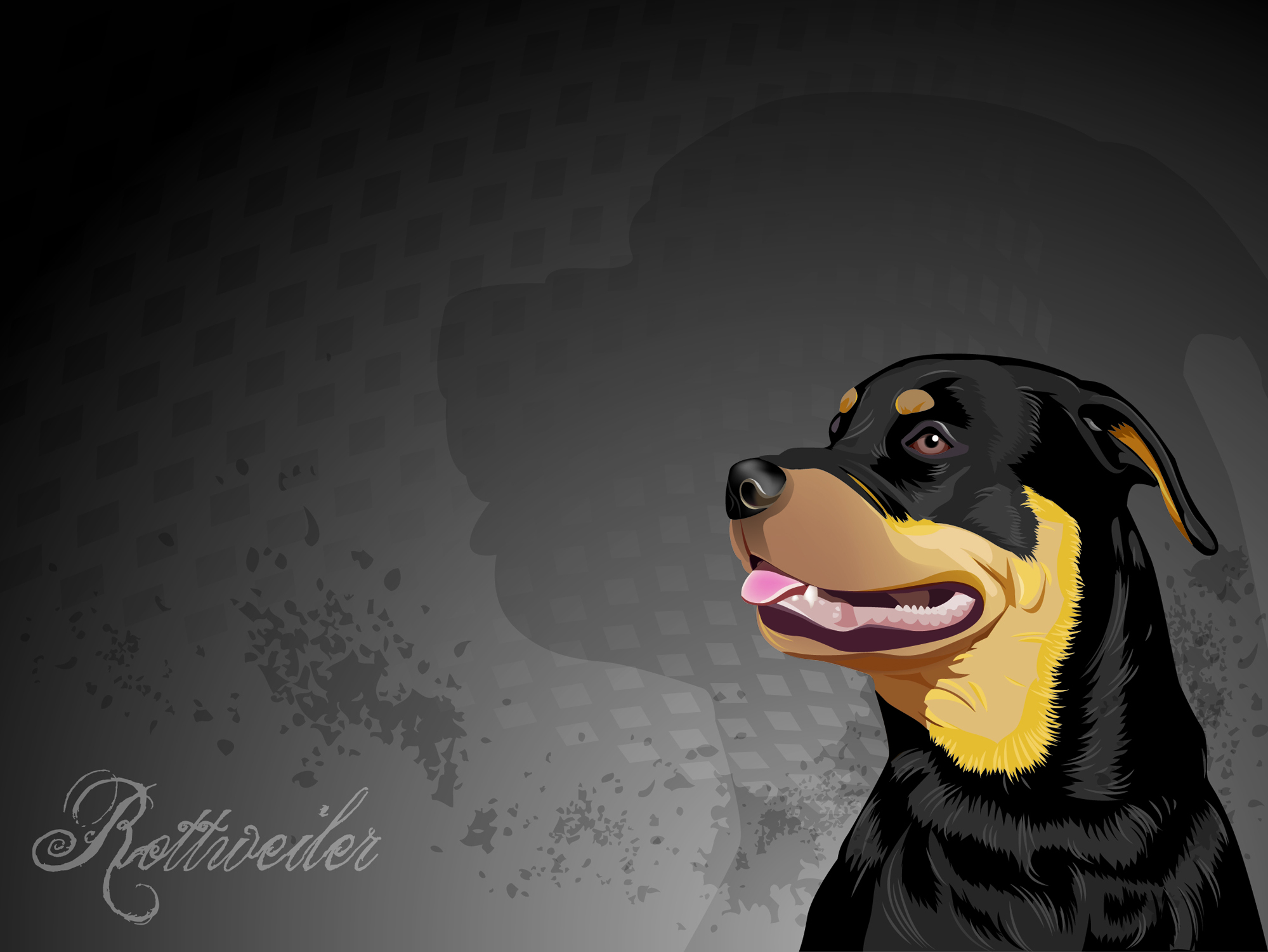 Rottweiler Wallpapers