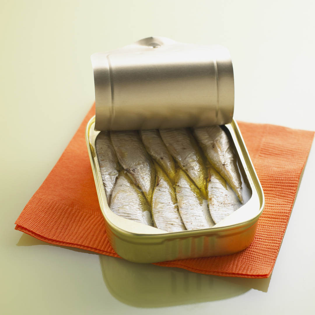 Sardines Wallpapers