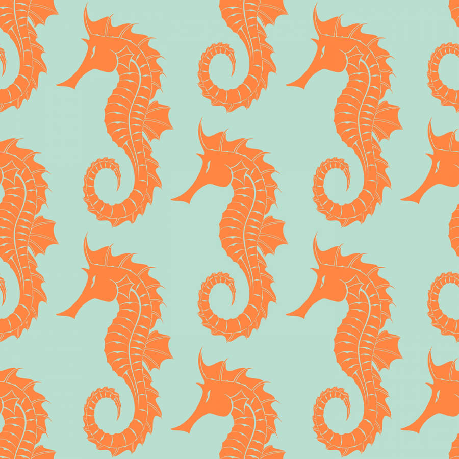 Seahorse Wallpapers