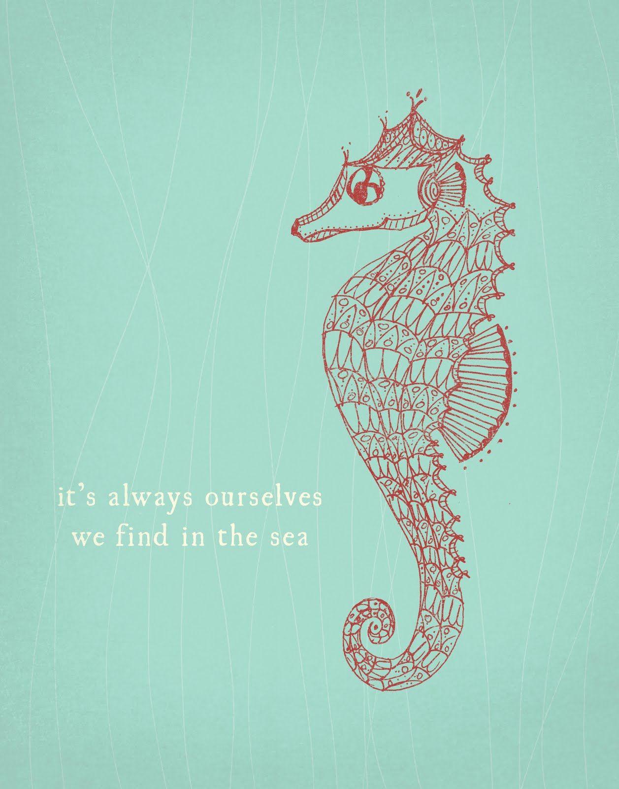 Seahorse Wallpapers