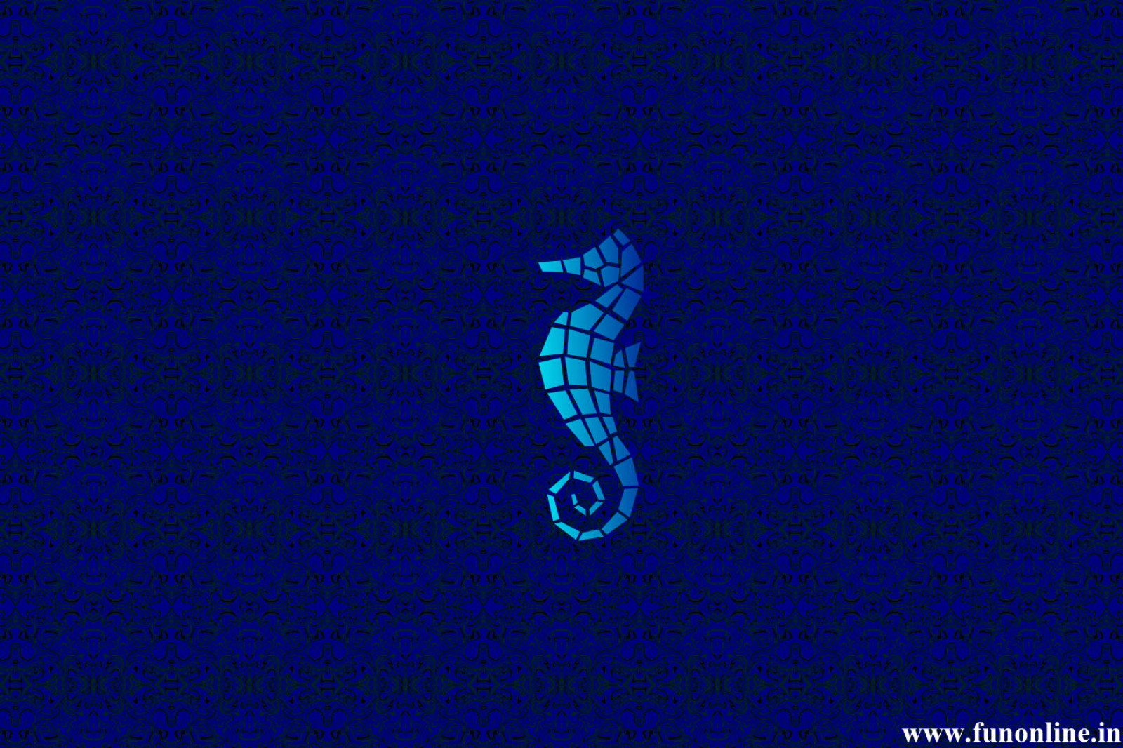 Seahorse Wallpapers