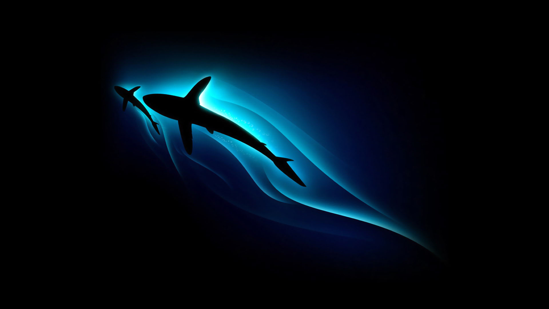 Shark Wallpapers