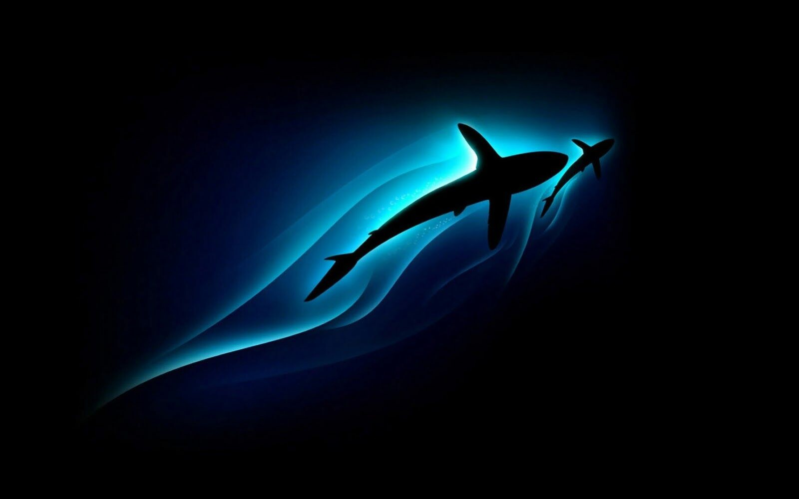 Shark Wallpapers