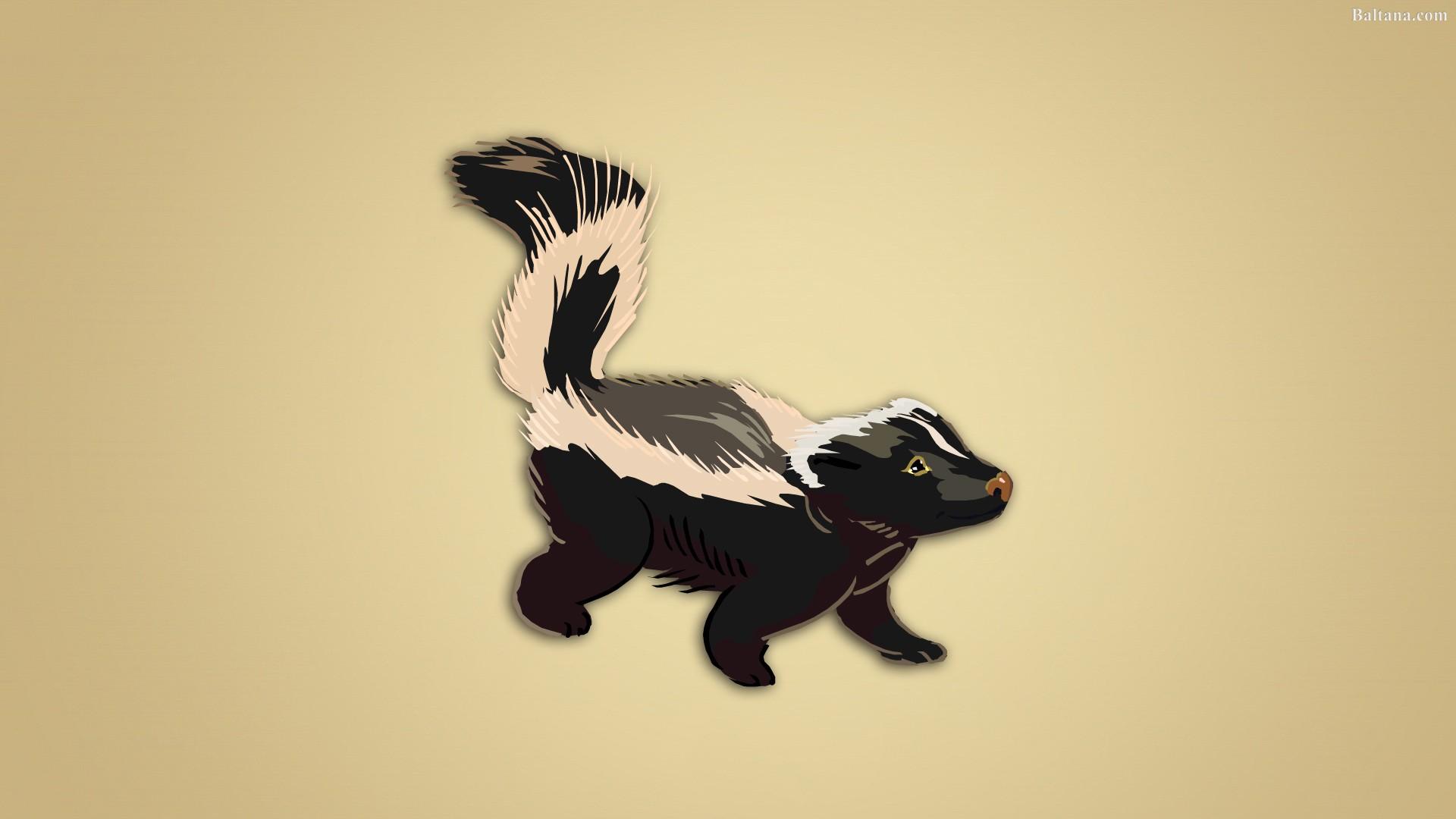 Skunks Wallpapers