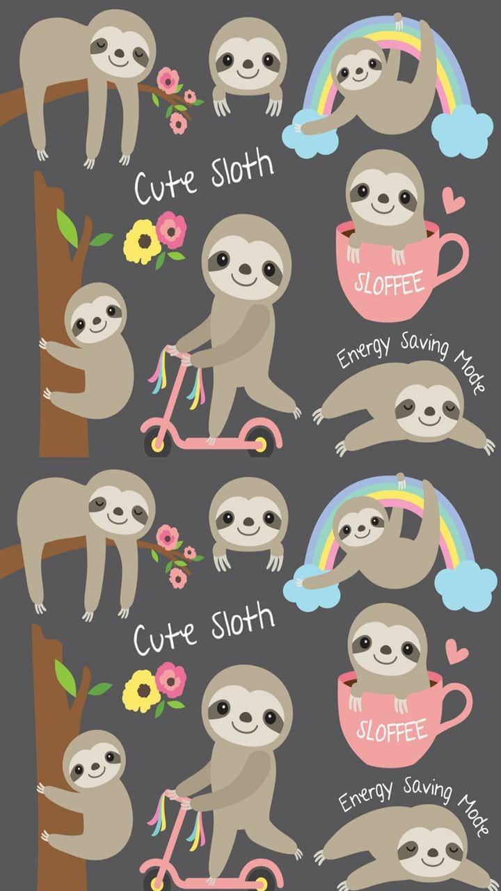 Sloth Wallpapers