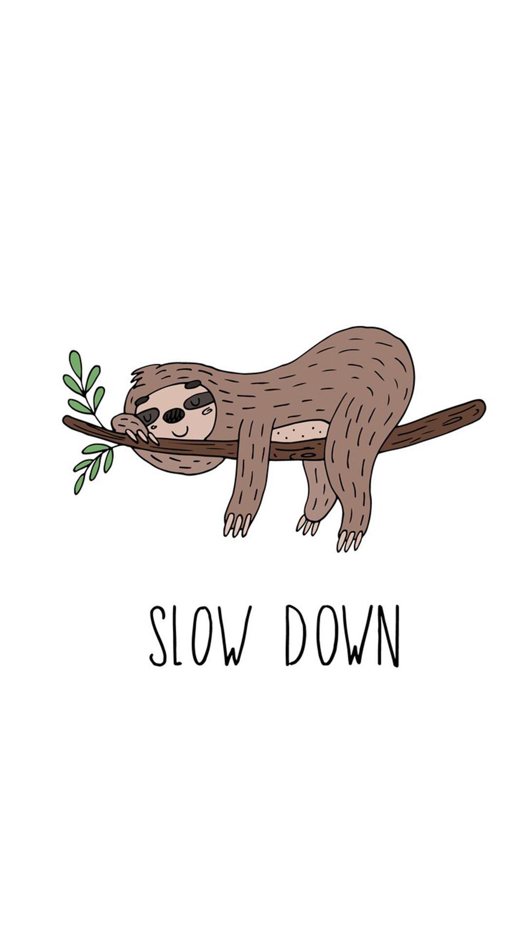 Sloth Wallpapers