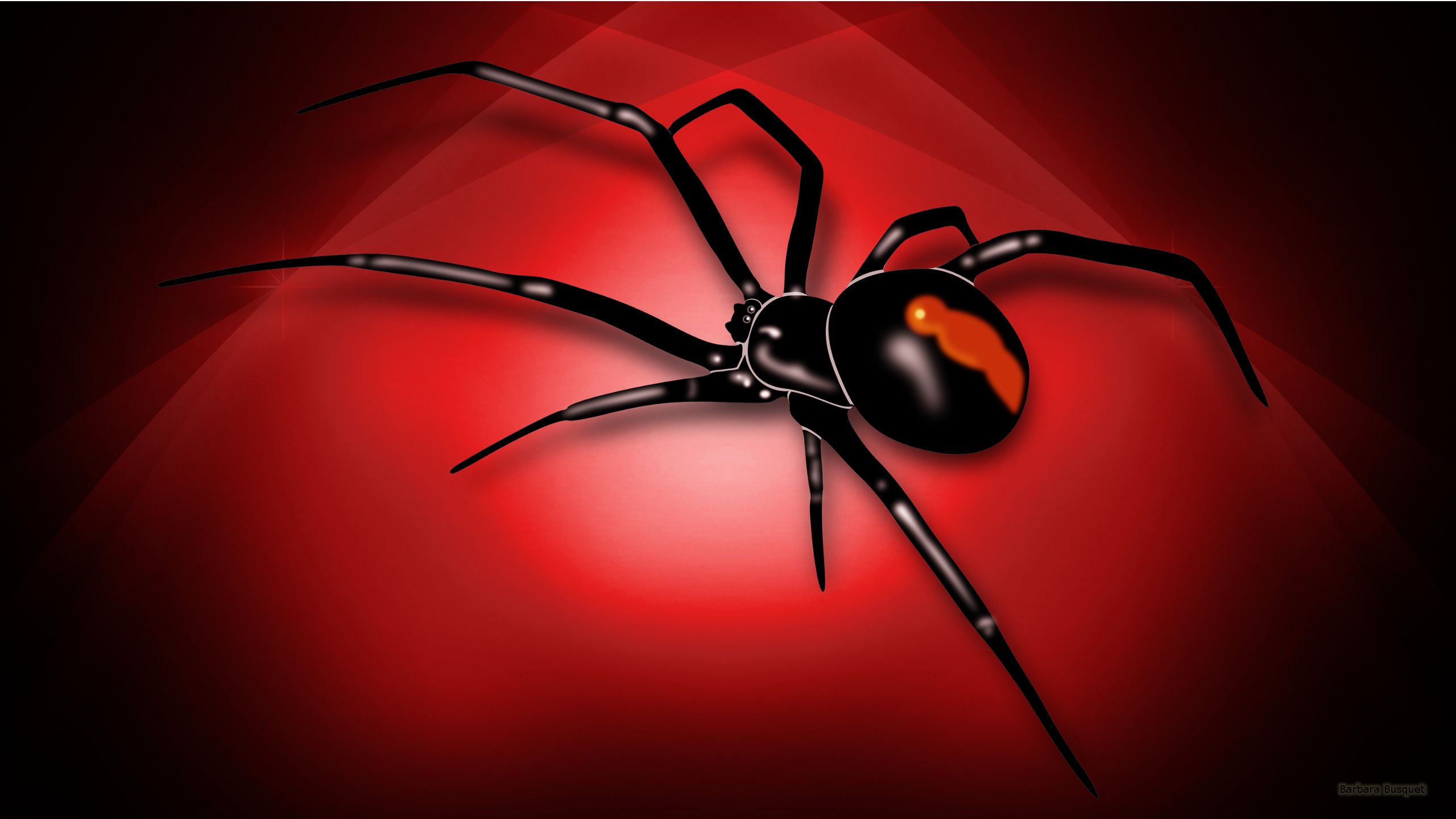 Spider Wallpapers