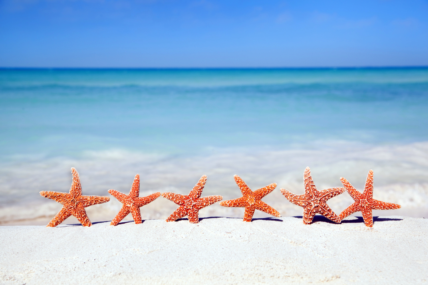 Starfish Wallpapers