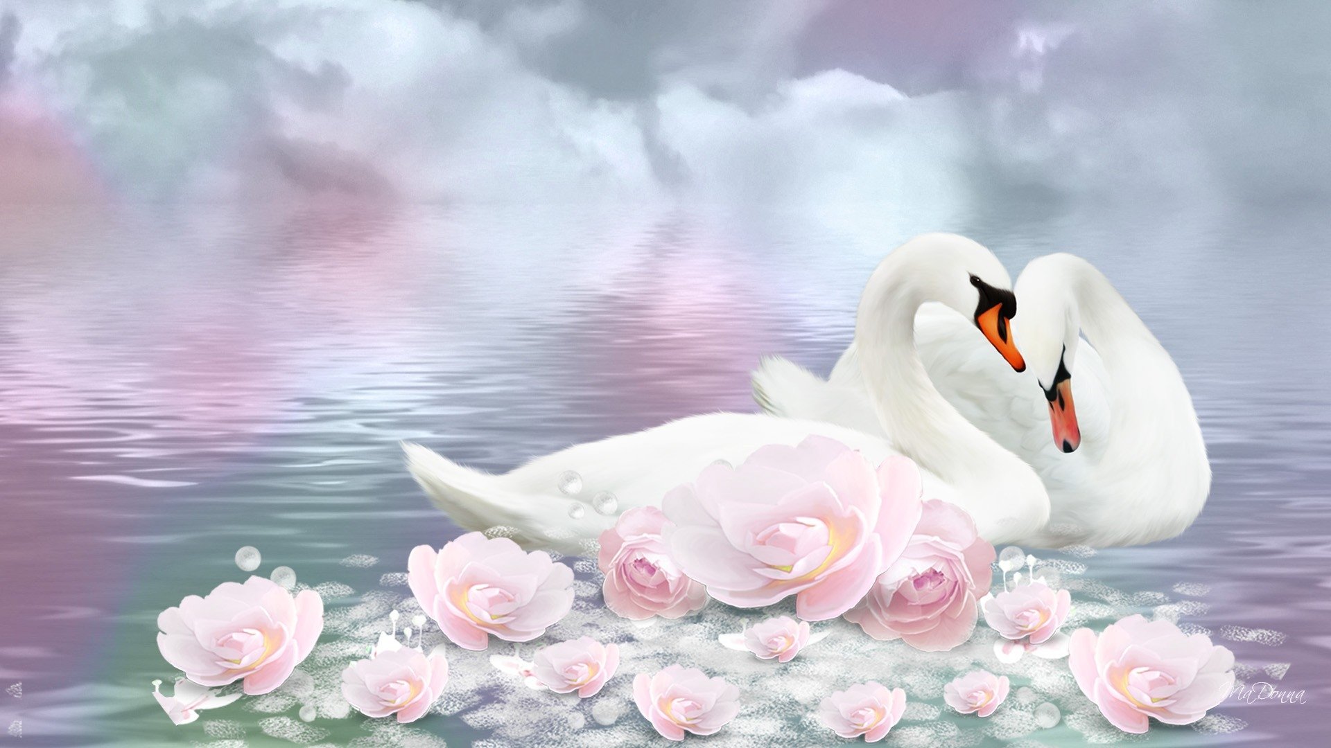 Swan Wallpapers