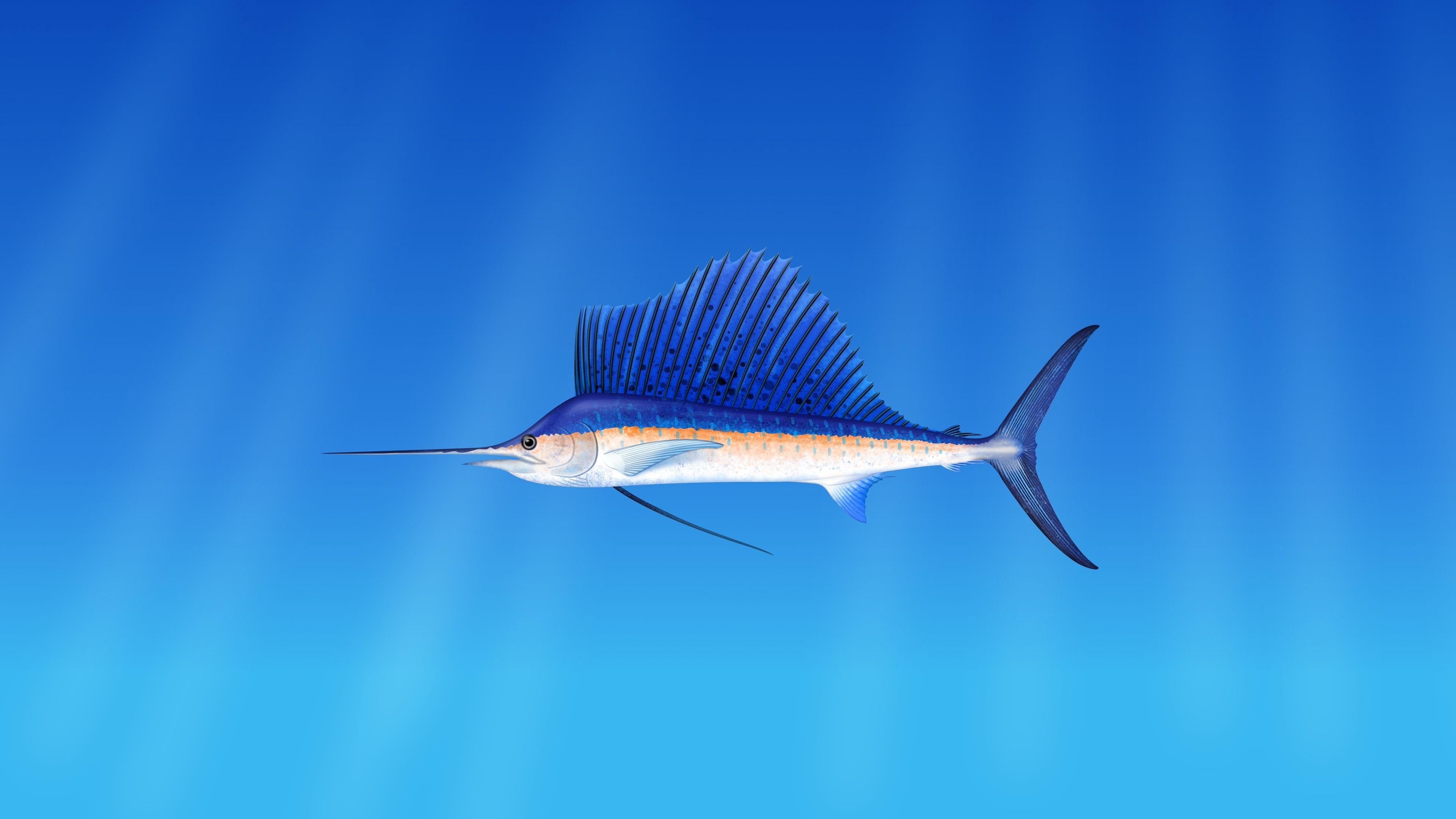 Sword Fish Wallpapers