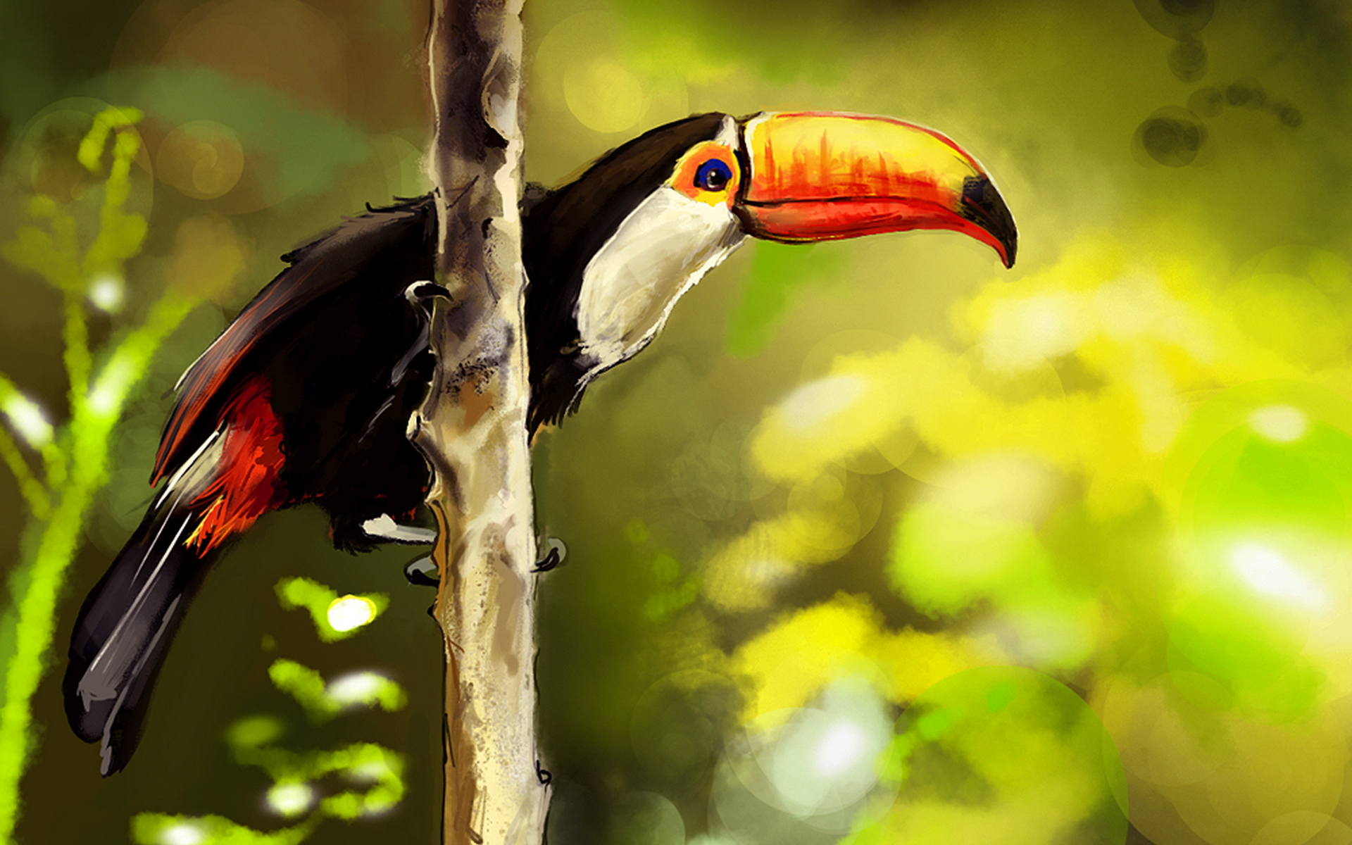 Toucan Wallpapers