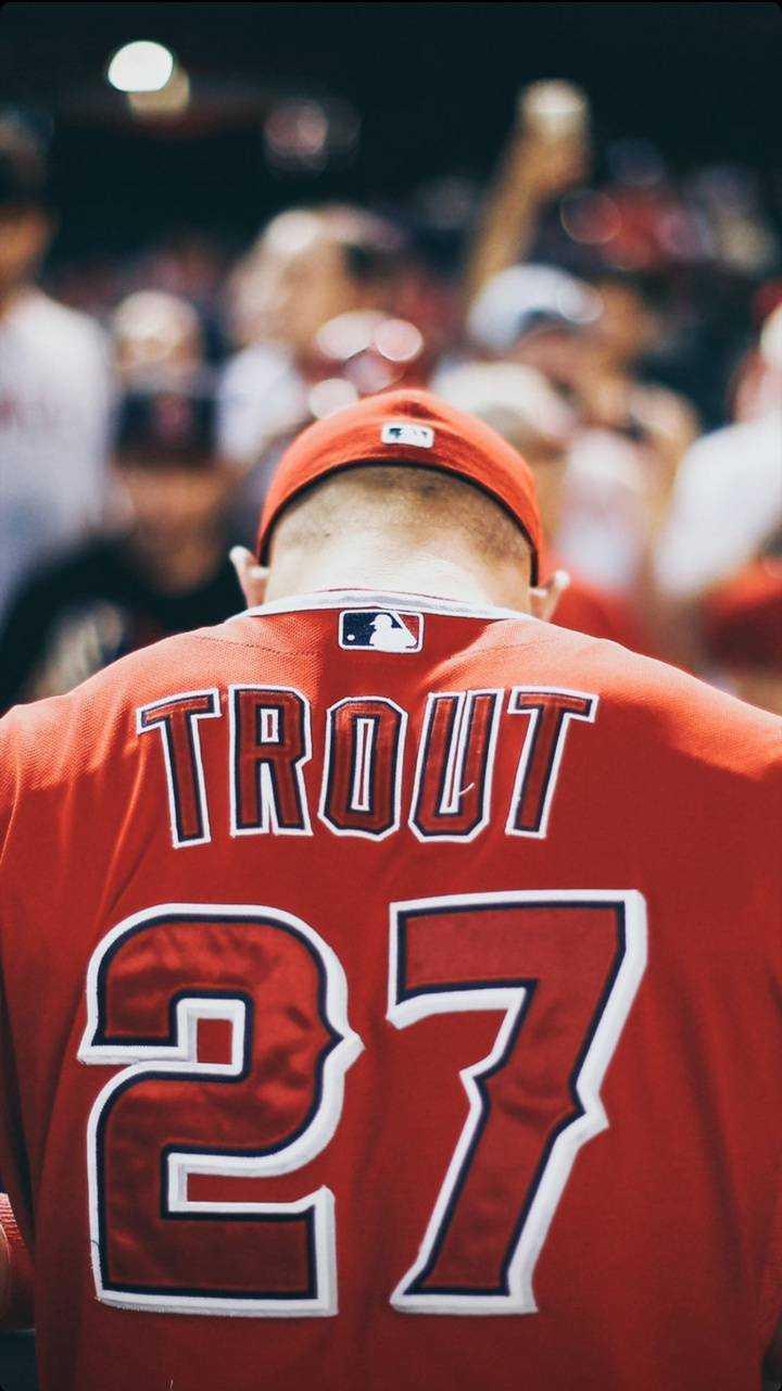 Trout Wallpapers