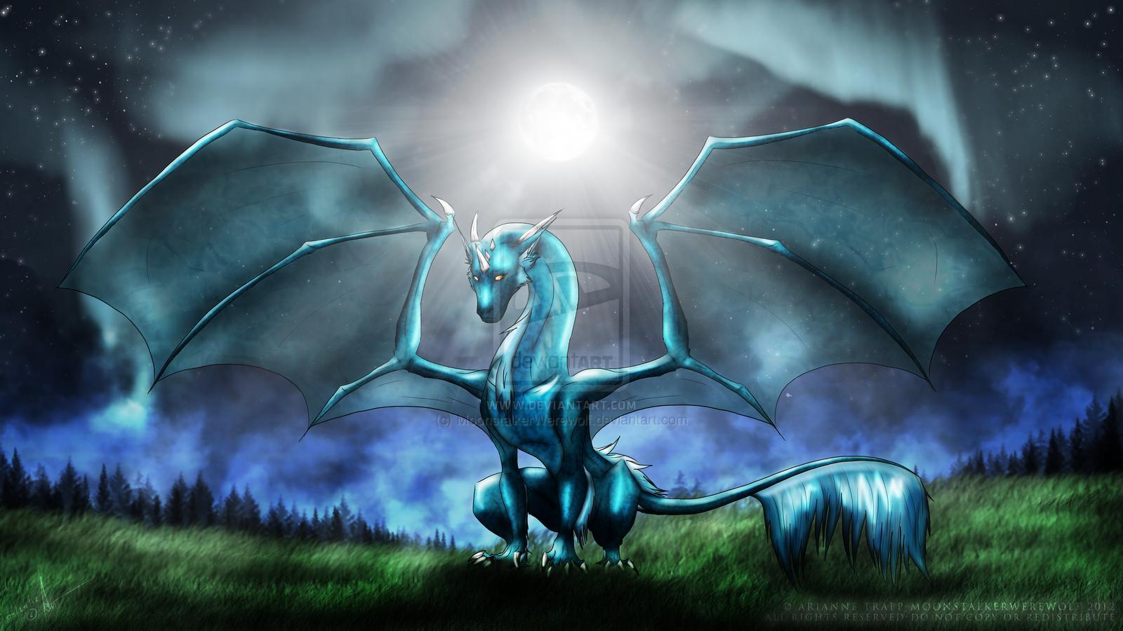 Water Dragon Wallpapers