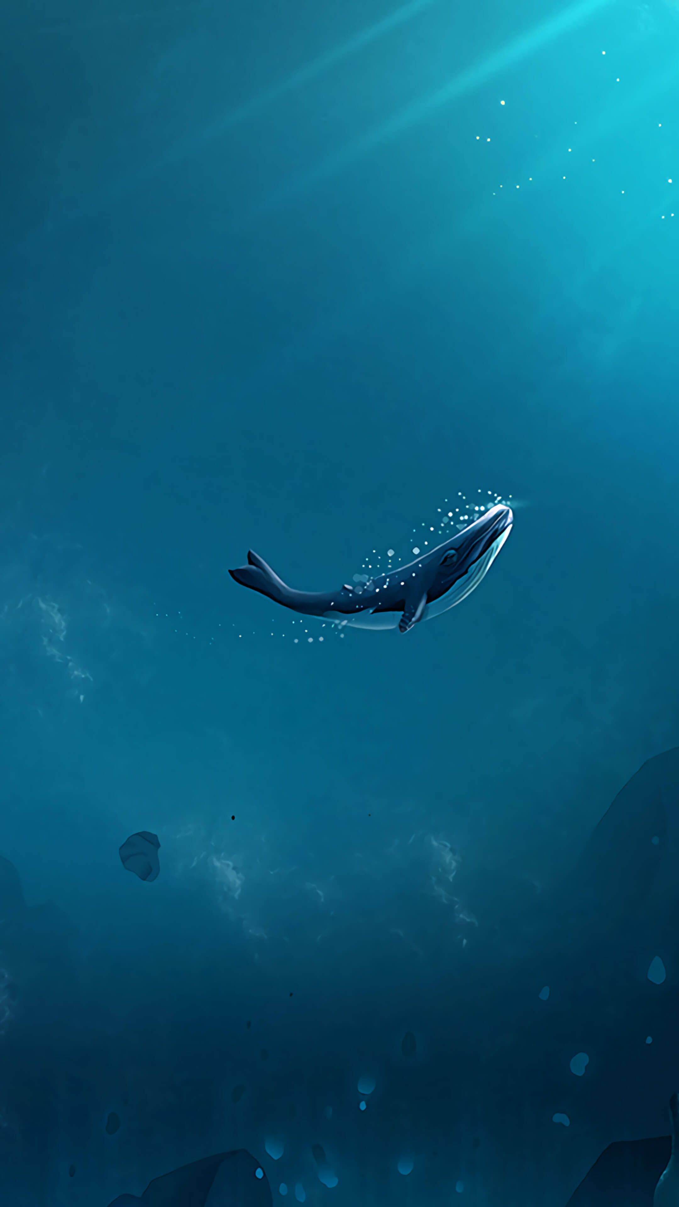 Whale Wallpapers