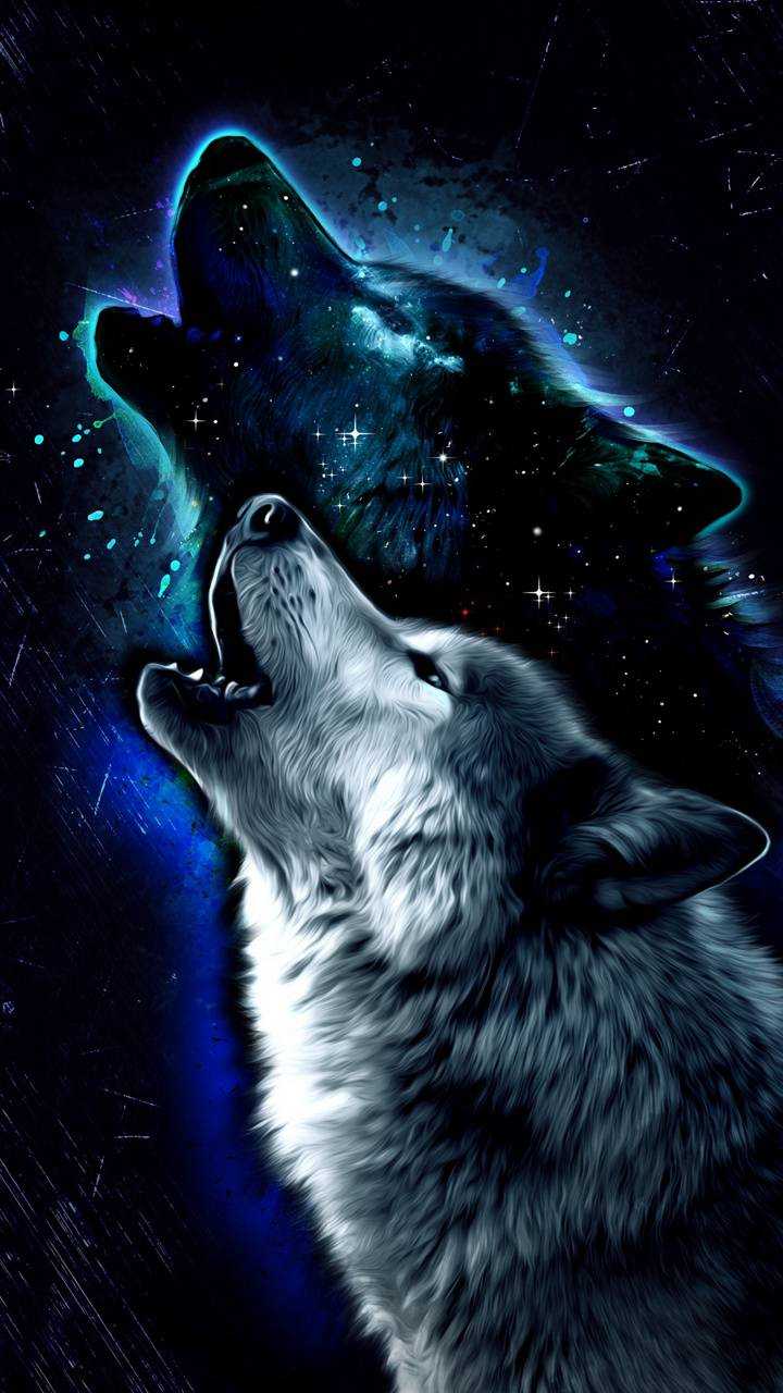 Wolf Wallpapers