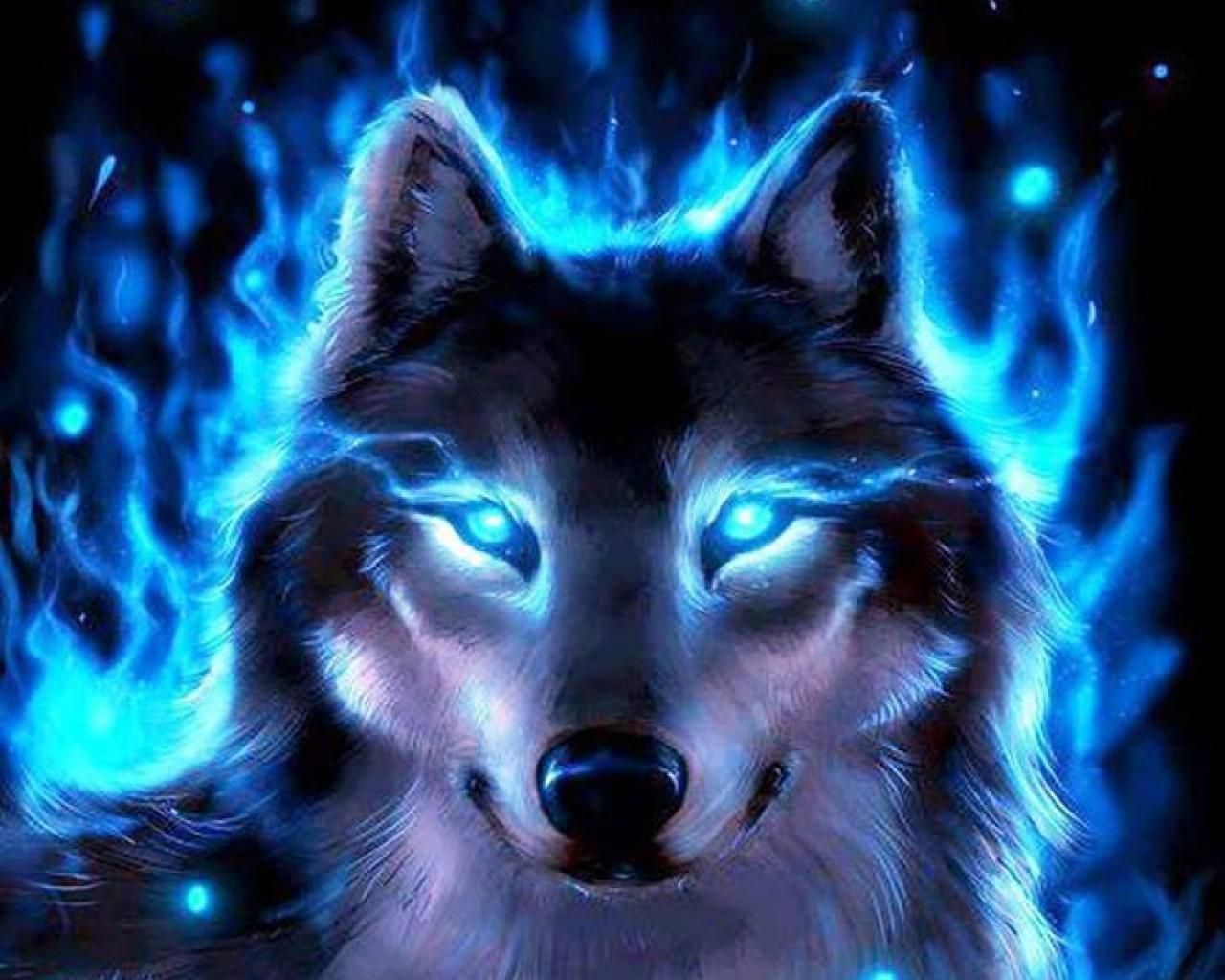 Wolf Wallpapers