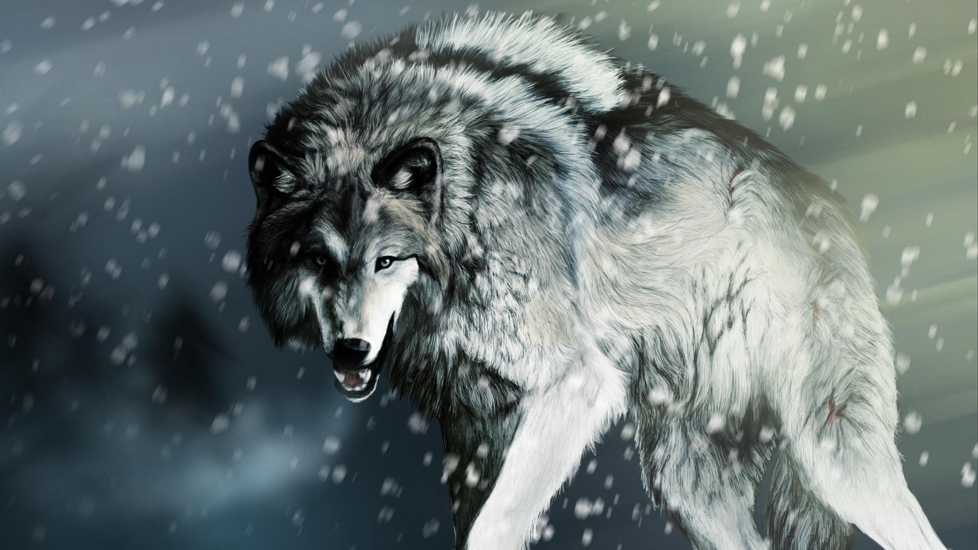 Wolf Wallpapers