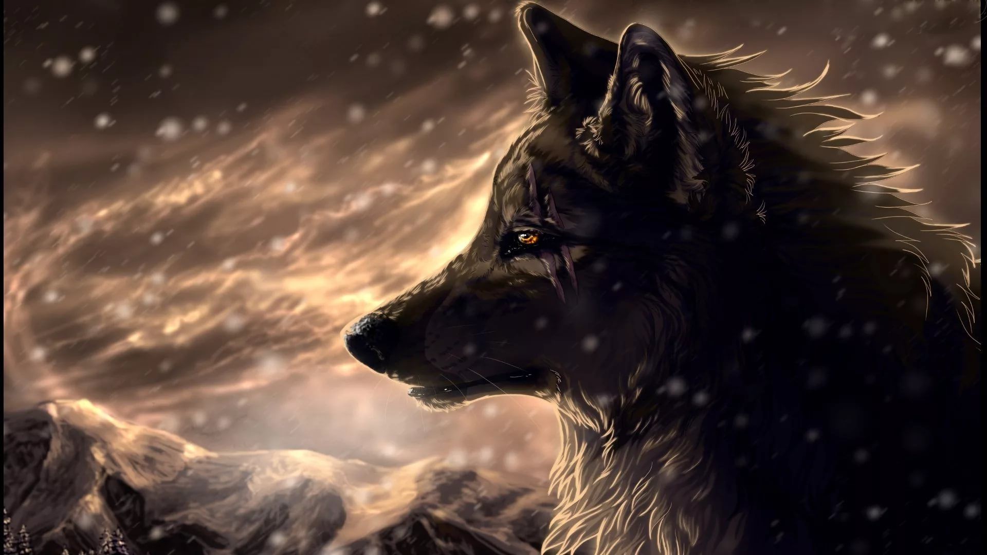 Wolf Wallpapers